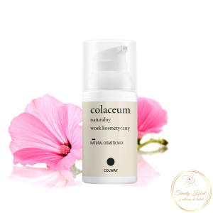 Colaceum